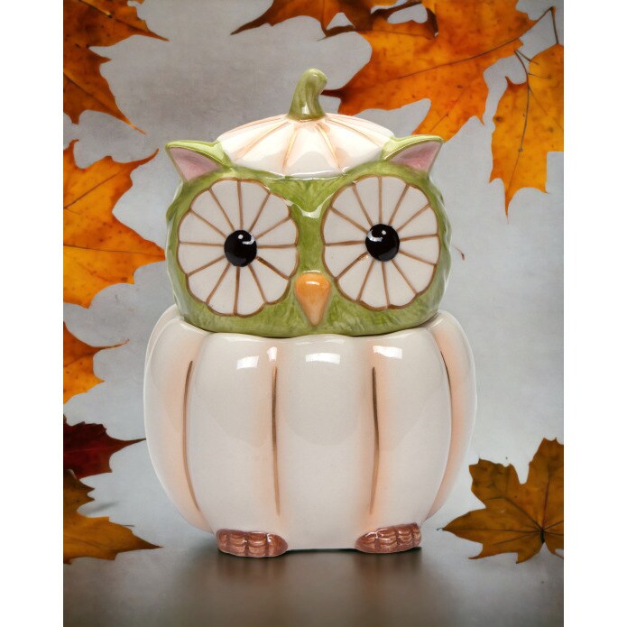 Ceramic White Pumpkin Owl Candy Jar 5X4.5X6.75 Fall Halloween Gift
