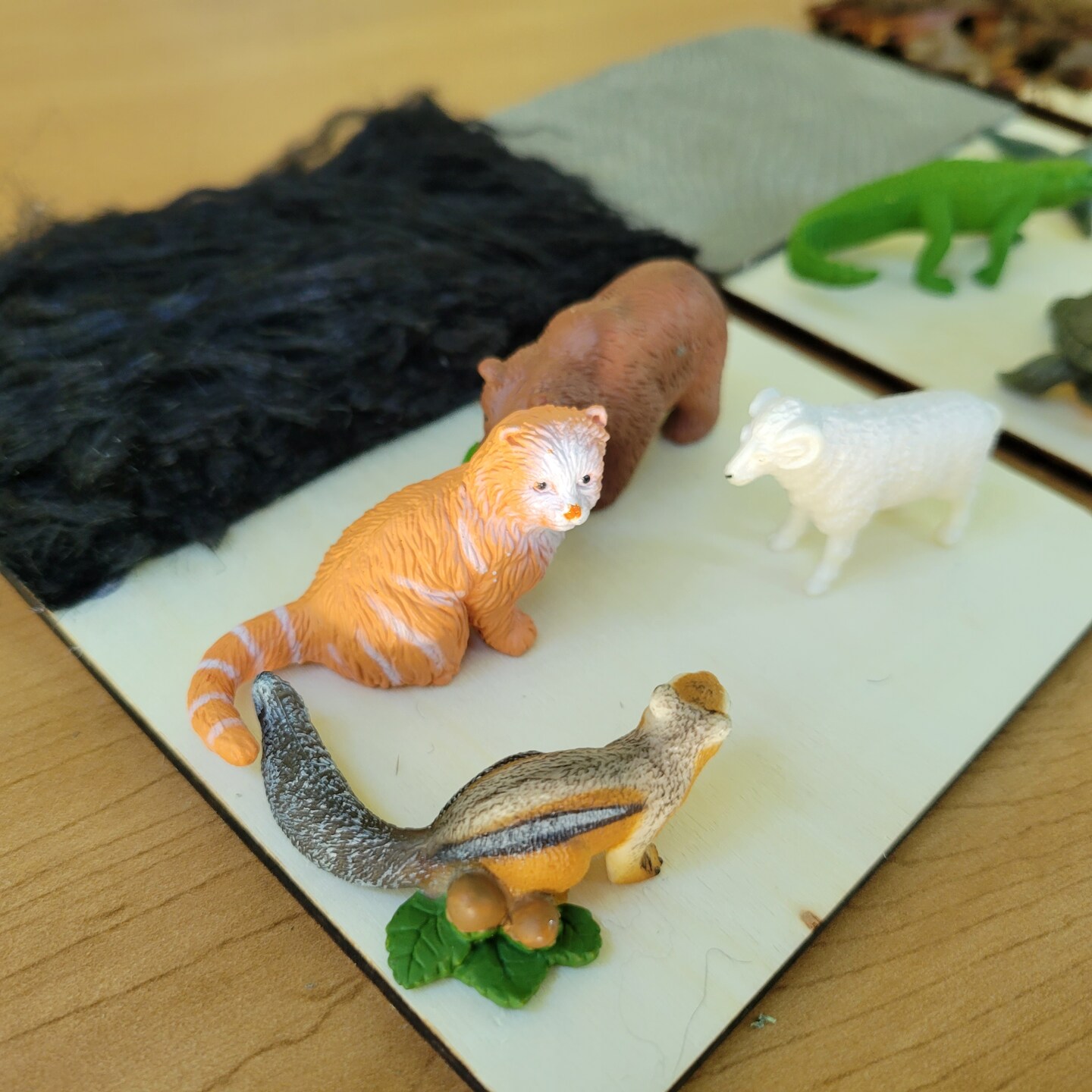 Fur, Scales, and Feathers Sorting Activity image 7