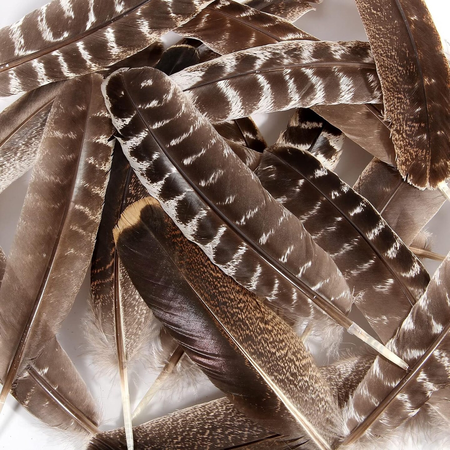 24pcs Natural Wild Turkey Wing Feathers Quill Bulk 6-8inch 15-20cm for DIY Crafts Project Collection Wedding Decoration Wild Turkey Tails Feather