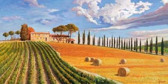 Colline toscane Poster Print by Adriano Galasso - Item # VARPDX2AD1192