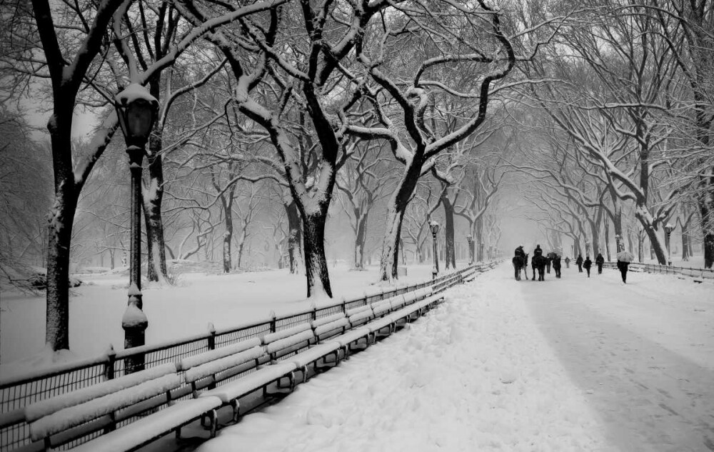 Central Park Snow Poster Print by Bill Carson Photography - Item # VARPDX11686T