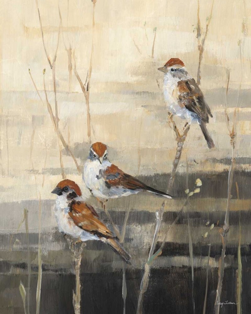 Evening Sanctuary III Poster Print by Avery Tillmon - Item # VARPDX13243