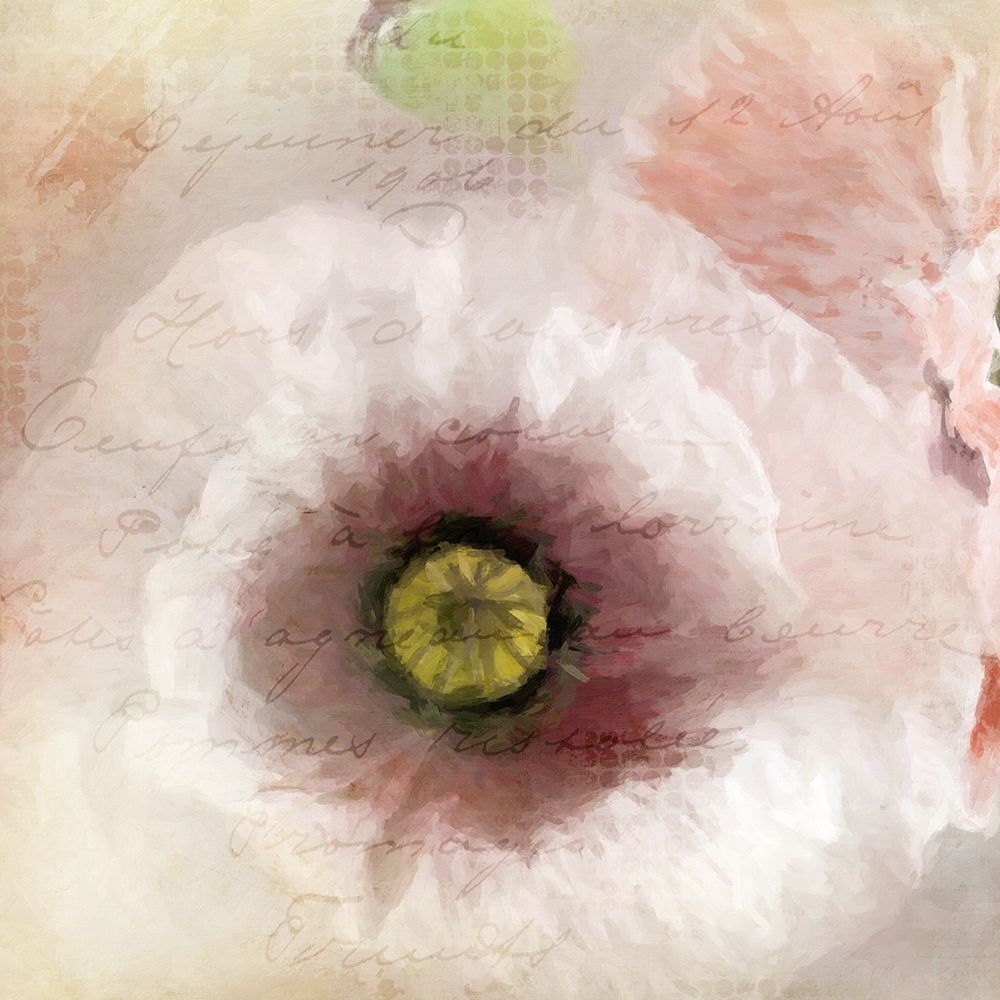 Poppy 1 Poster Print by Kimberly Allen - Item # VARPDXKASQ560A