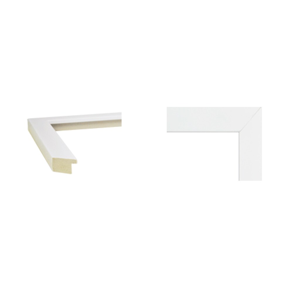 Floral Squirrel by Lady Louise Designs 14" x 14" Framed Wall Art