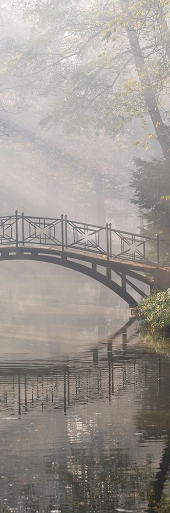 Bridge in the Mist II Poster Print by Anonymous Anonymous - Item # VARPDXFAF535