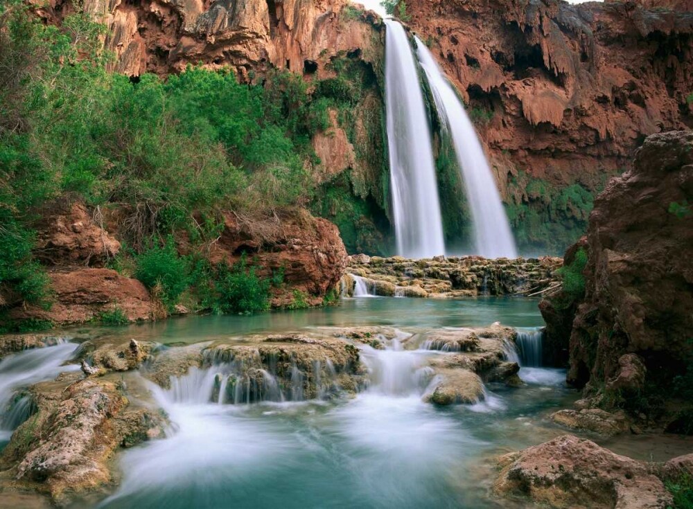 Havasu Creek, lined with Cottonwood trees, Havasu Falls, Grand Canyon, Arizona Poster Print by Tim Fitzharris - Item # VARPDX397216