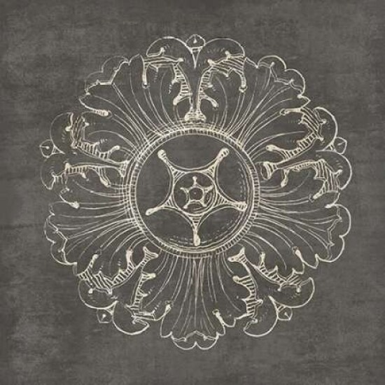 Rosette VI Gray Poster Print by Wild Apple Portfolio - Item # VARPDX21578