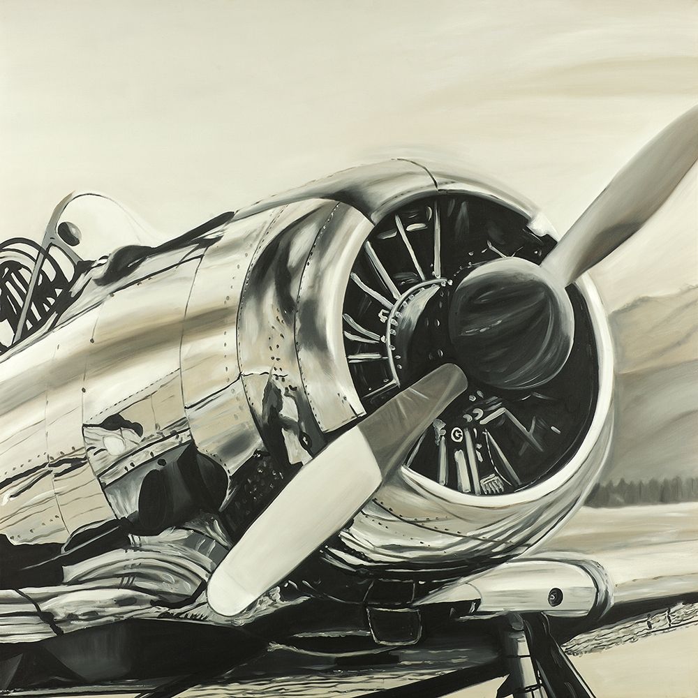 Vintage Aircraft Poster Print by Atelier B Art Studio - Item # VARPDXBEGTRA57