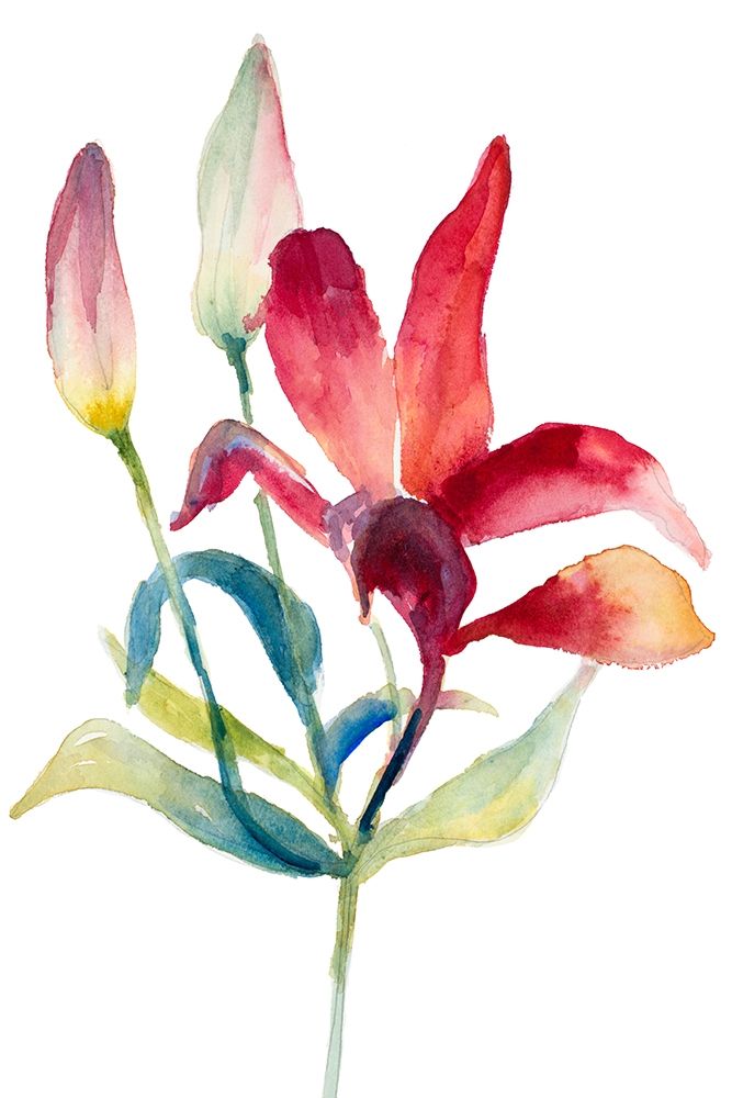Crimson Paradise Lily Poster Print by Lanie Loreth - Item # VARPDX12426