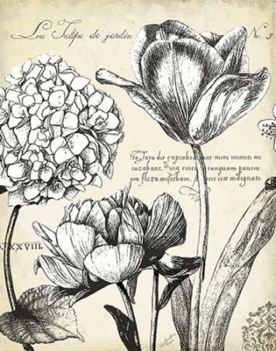 Pen and Ink Floral Study IV Poster Print by Marie Elaine Cusson - Item # VARPDXRB10888MC