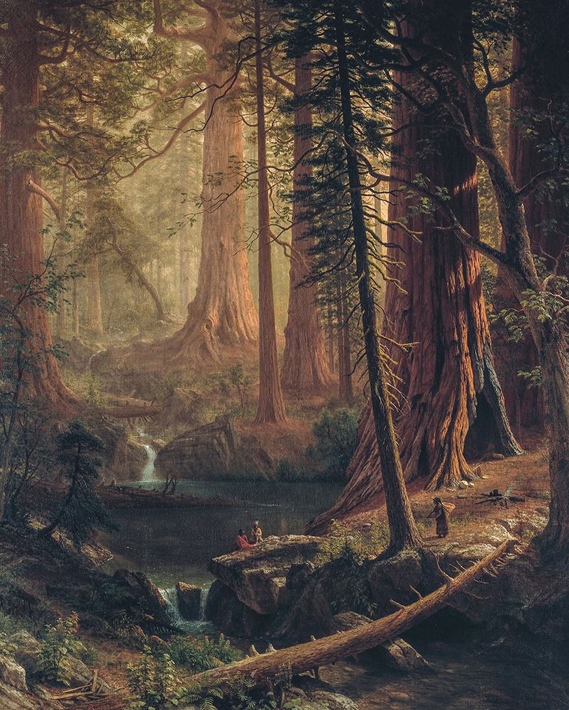Giant Redwood Trees of California Poster Print by Albert Bierstadt # 55948