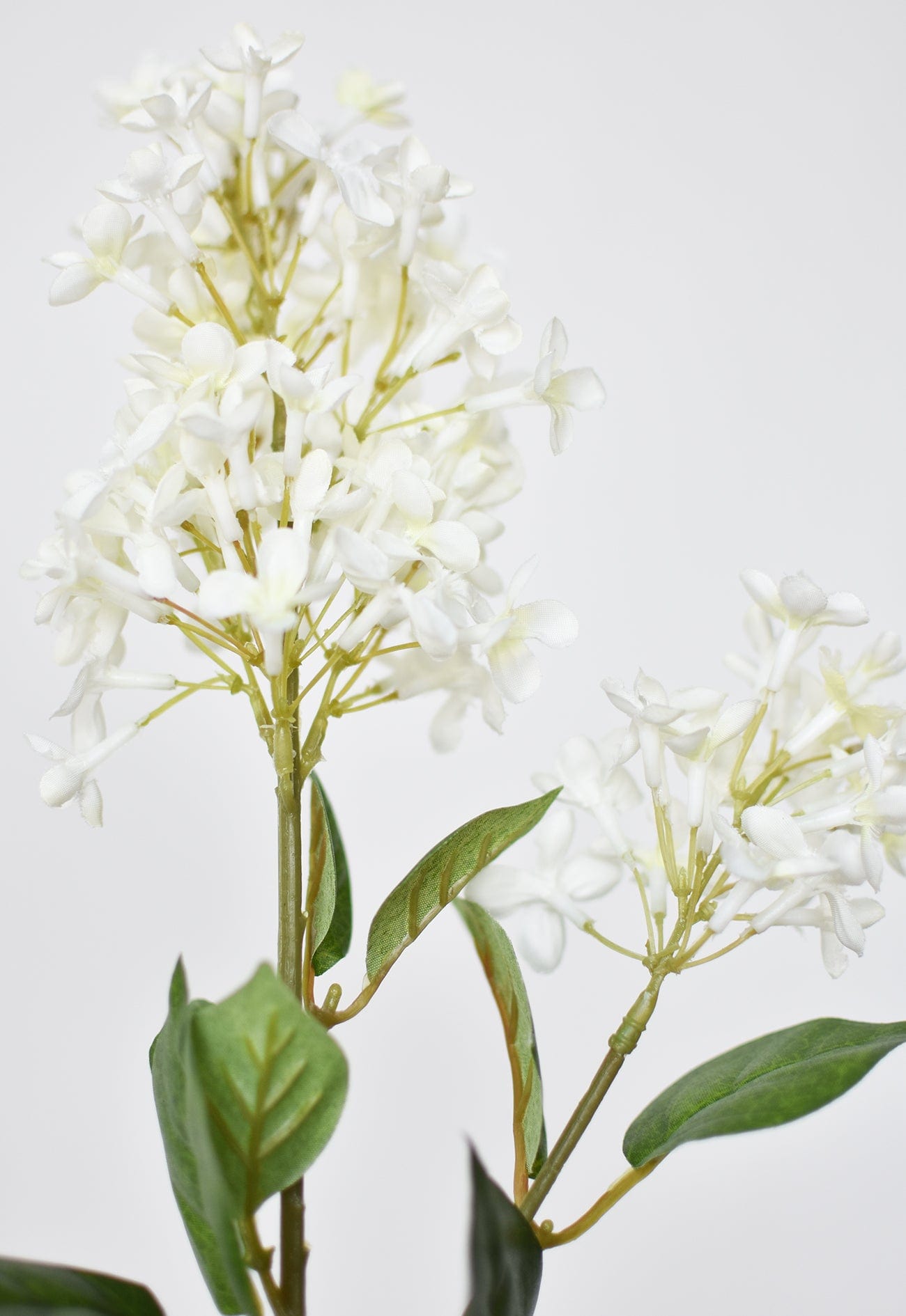 28.5&#x22; Faux White English Lilac Stem