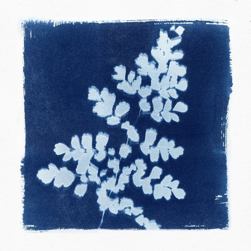 Flora Cyanotype I Poster Print by Nancy Green - Item # VARPDXRB12898NG