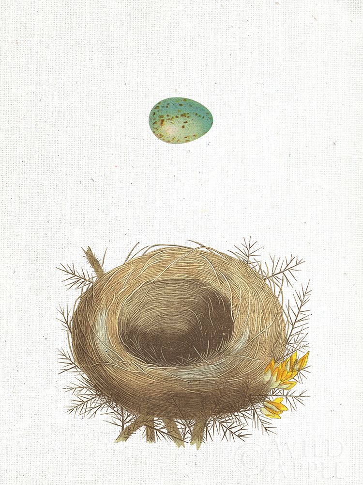 Spring Nest I Poster Print by Wild Apple Portfolio - Item # VARPDX43806