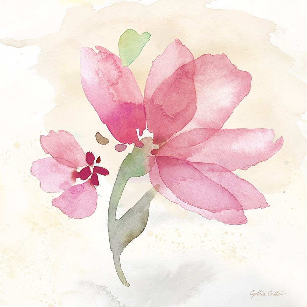 Poppy Single Pink Poster Print by CoulterCynthia - Item # VARPDXRB13001CC