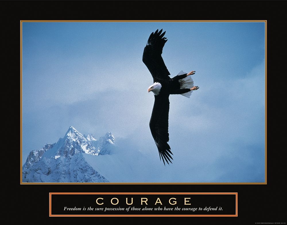Courage - Eagle Poster Print by Unknown Unknown # F101533