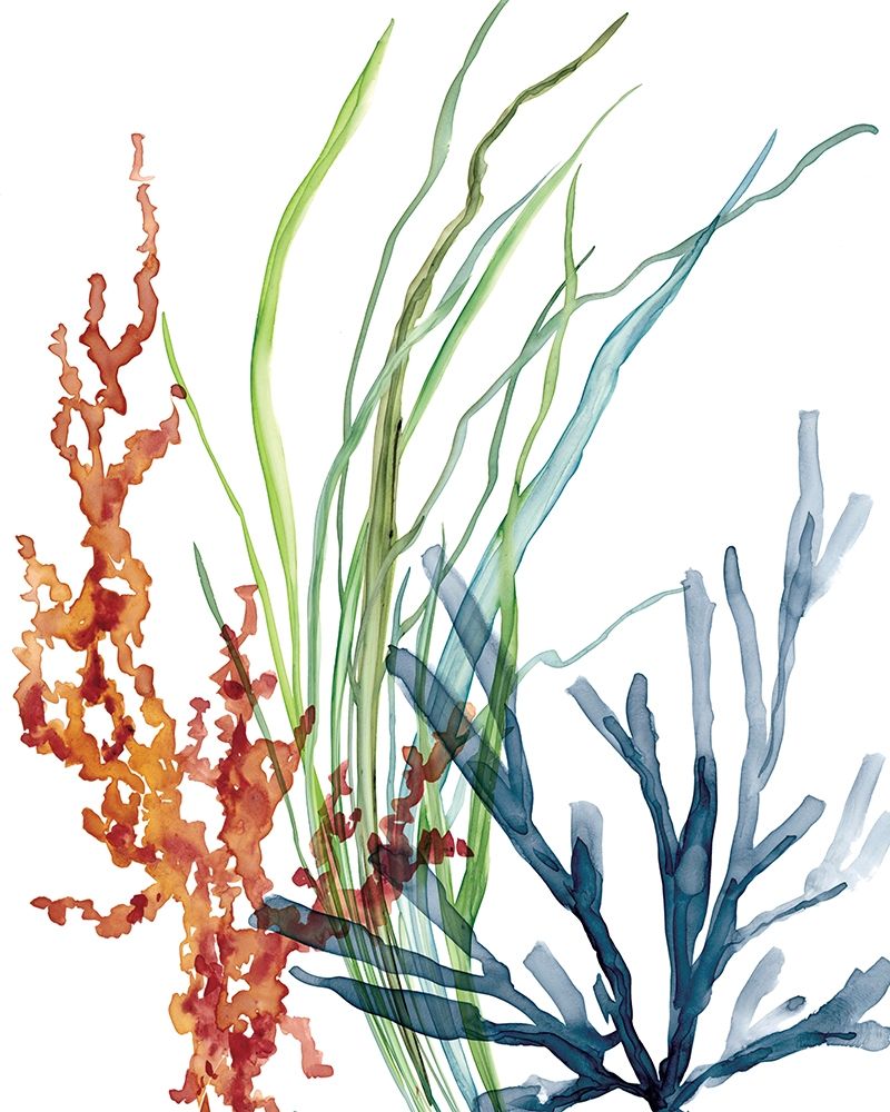 Ocean Garden I Poster Print by Carol Robinson - Item # VARPDX40472