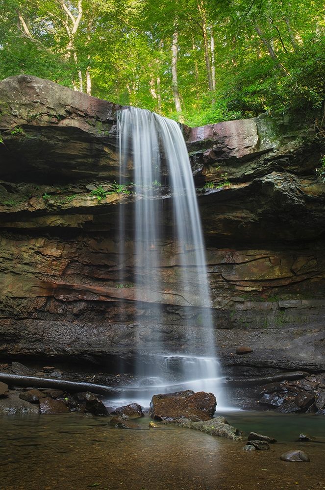 Cucumber Falls-Ohiopyle State Park-Pennsylvania by Alan Majchrowicz - Item # VARPDXUS39AMA0004