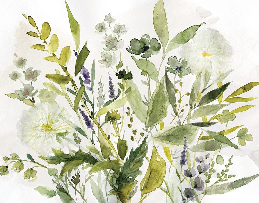 Olive Greens Poster Print by Carol Robinson - Item # VARPDX40355