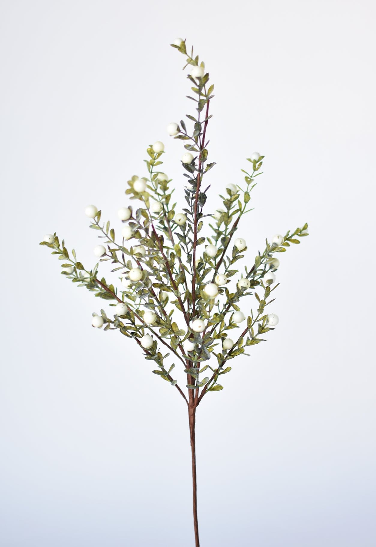 21&#x201D; White Berry Boxwood Greenery Stem