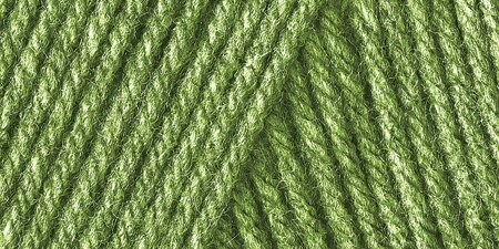 Caron One Pound Grass Green Yarn - 2 Pack of 454g/16oz - Acrylic - 4 Medium (Worsted) - 812 Yards - Knitting/Crochet