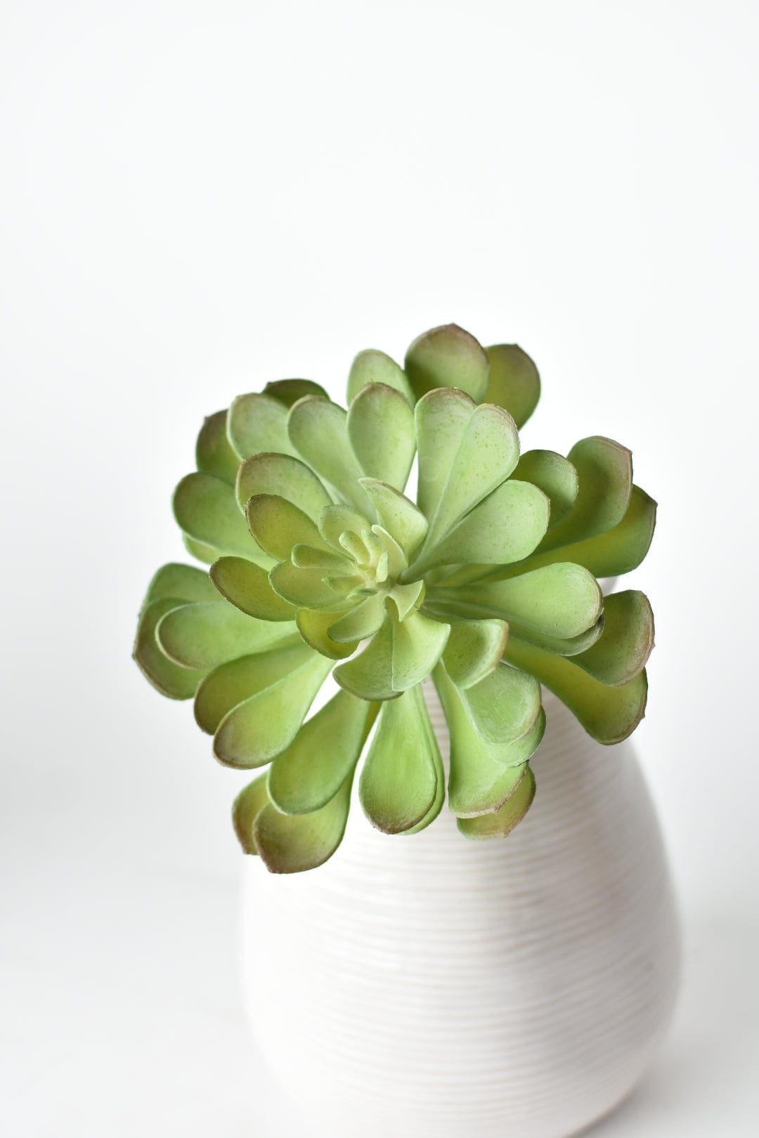6&#x22; Faux Soft Aeonium Succulent Pick