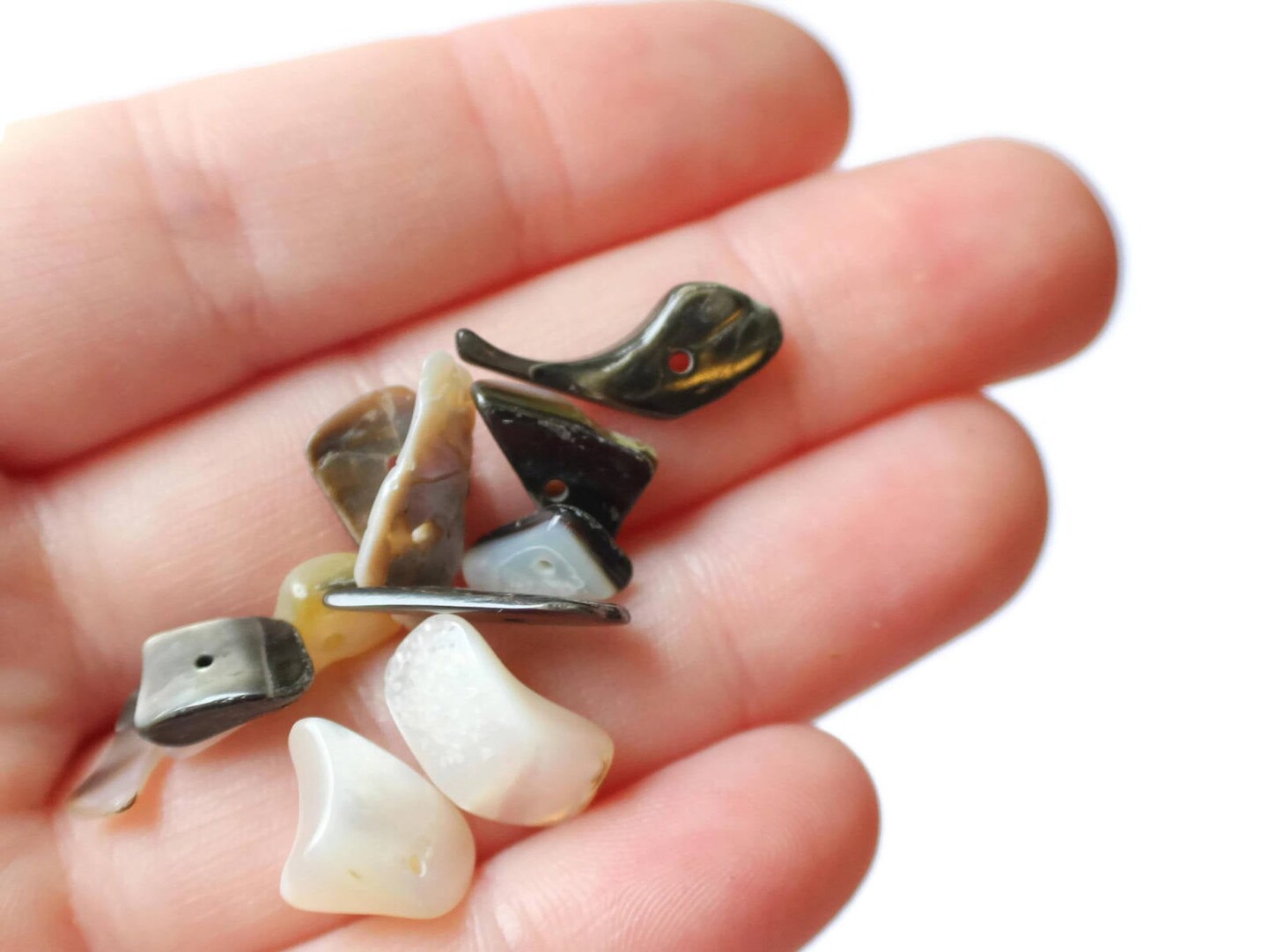 120 Black Lip Shells Bead Chips - 1 oz. Gray Nugget Sea Shell Beads