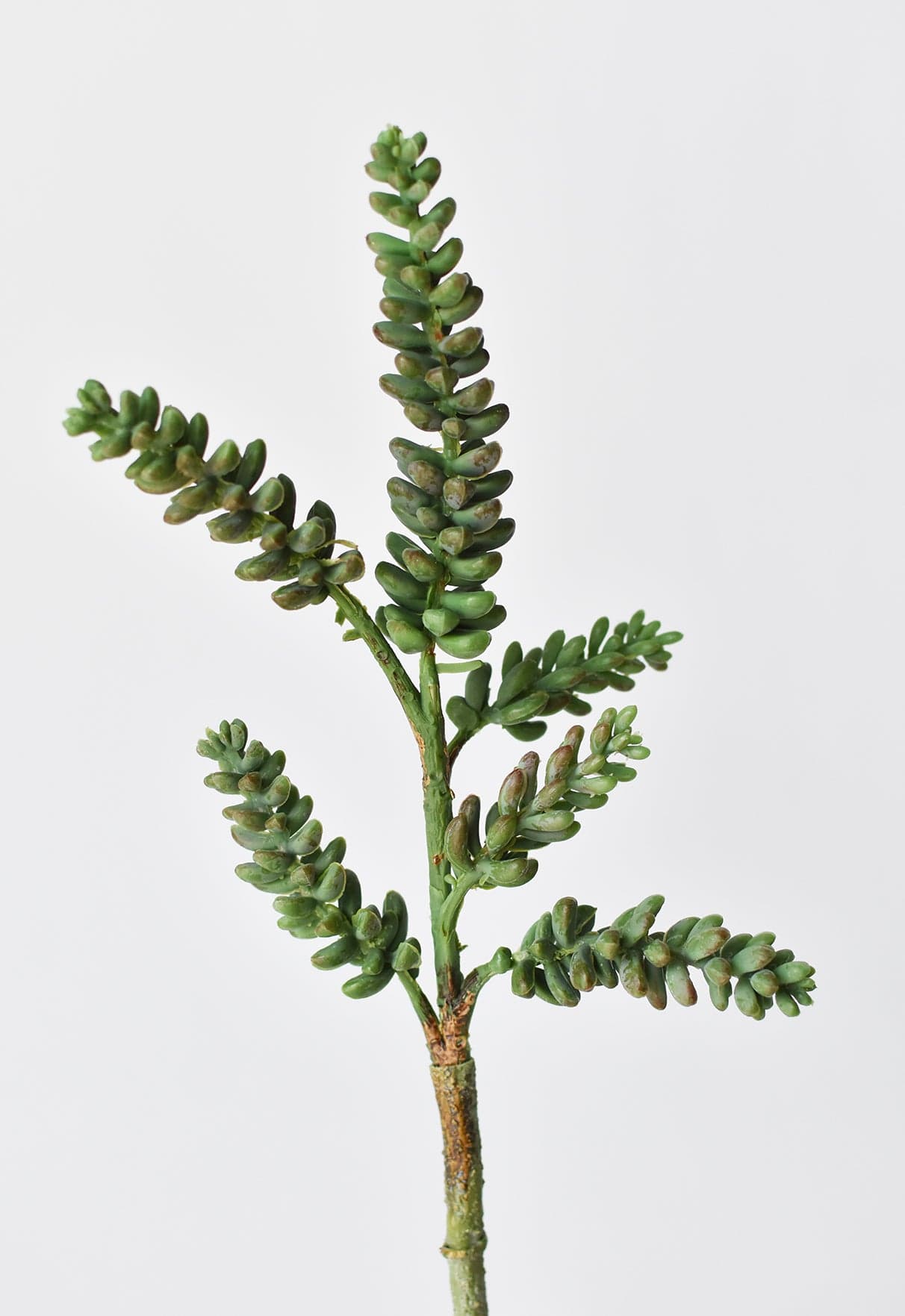 13&#x22; Faux Green Monkey Tail Stem