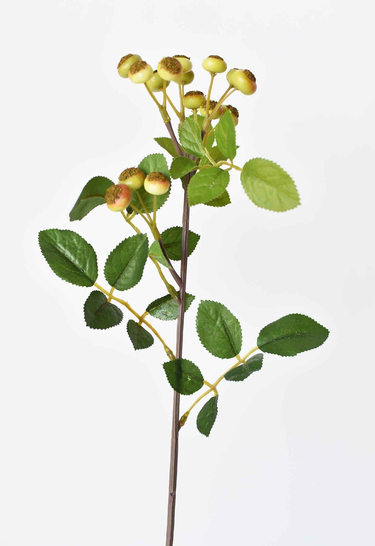 23&#x22; Faux Rosehip Berry Stem