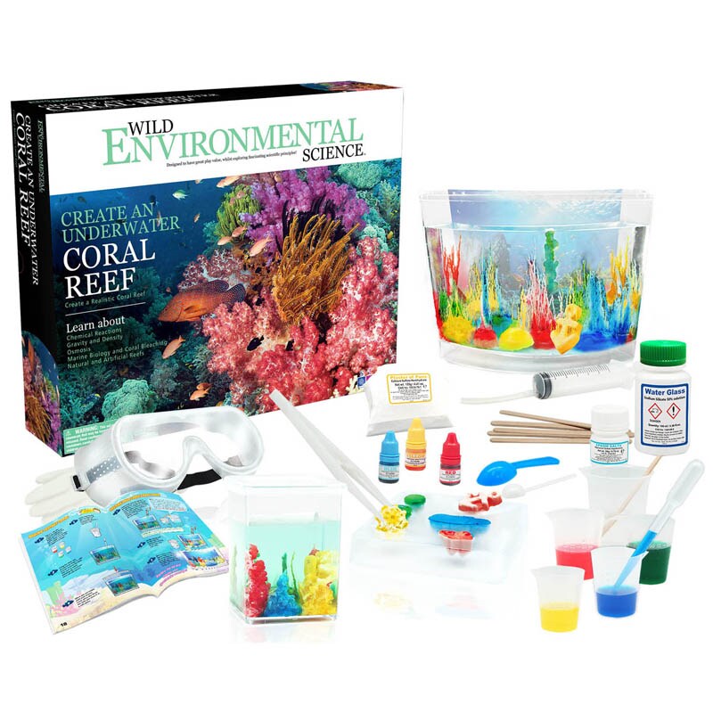 Create An Underwater Coral Reef - Science Kit For Ages 8+ - Grow ...