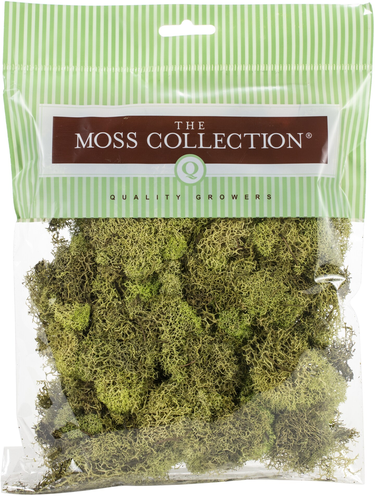 Quality Growers Preserved Reindeer Moss 108.5 Cubic Inches Spring Green