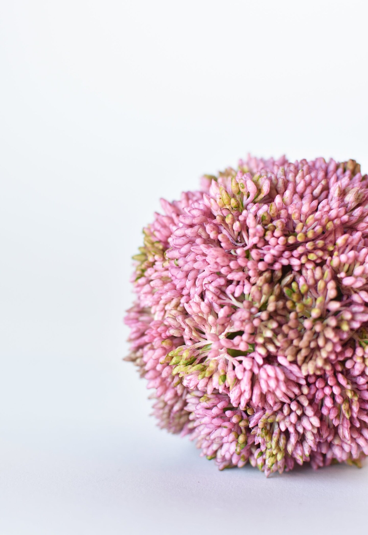 4&#x22; Faux Mauve Sedum Ball