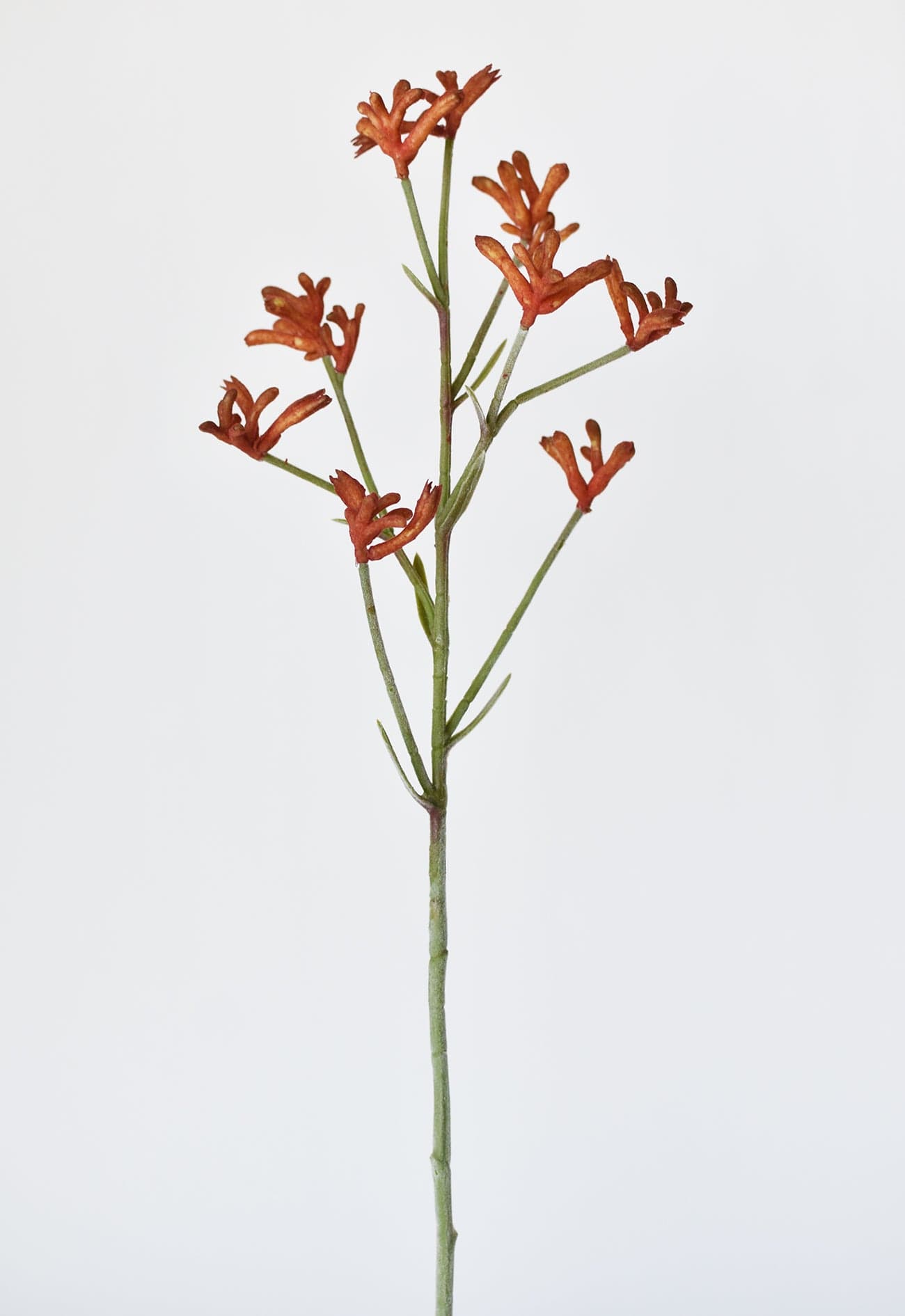 28&#x22; Faux Orange Kangaroo Paw Stem