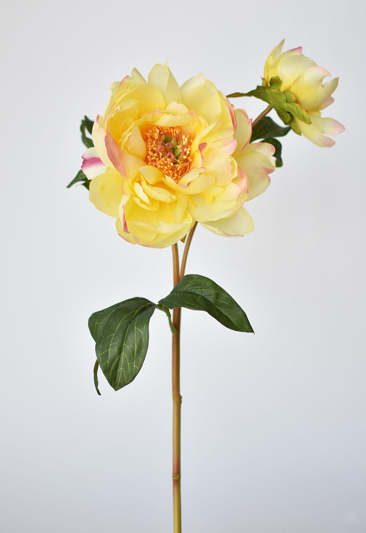 22.5&#x22; Faux Peony Stem w/Bud Yellow