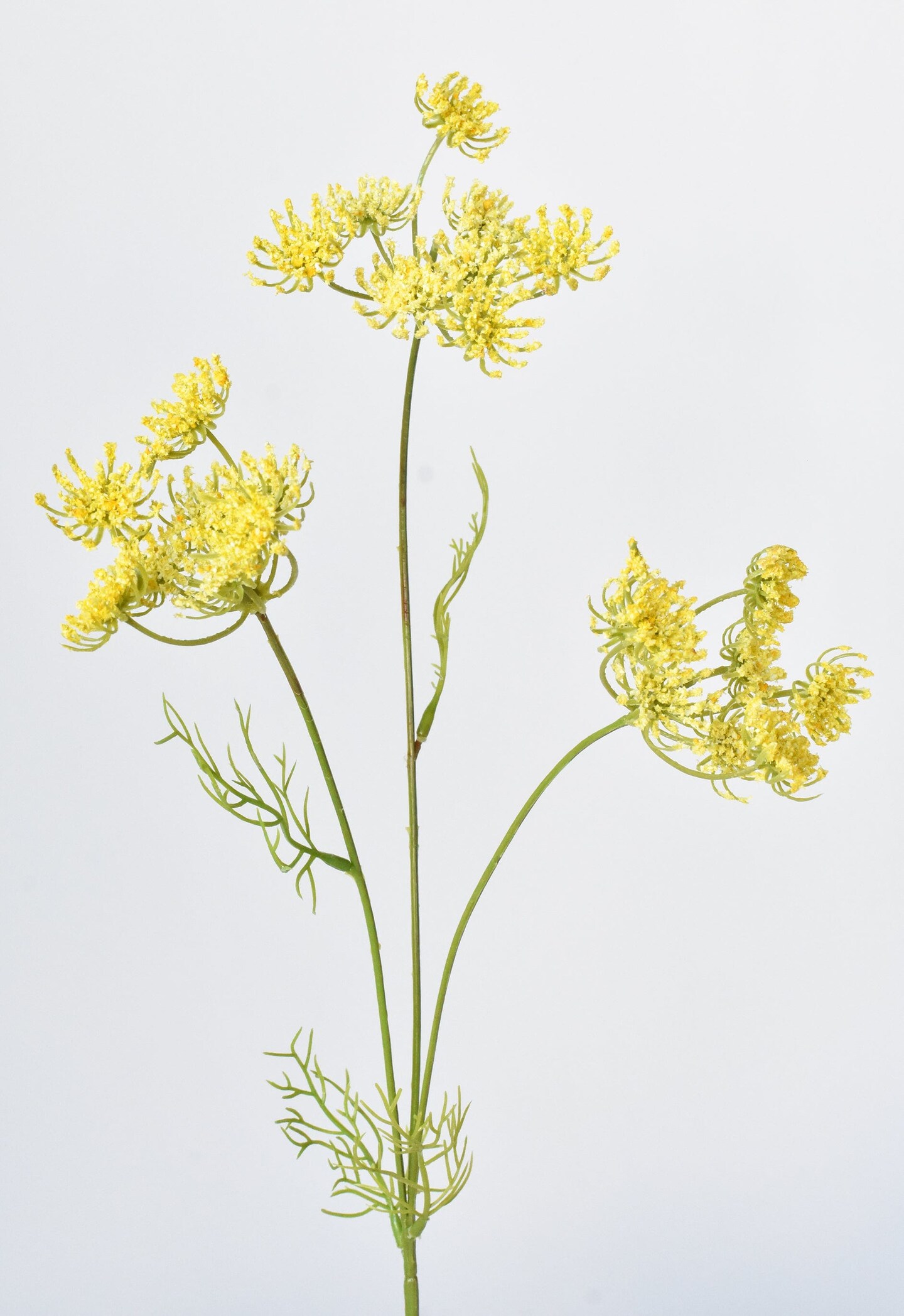 20.5&#x22; Faux Yellow Queen Anne&#x27;s Lace Stem