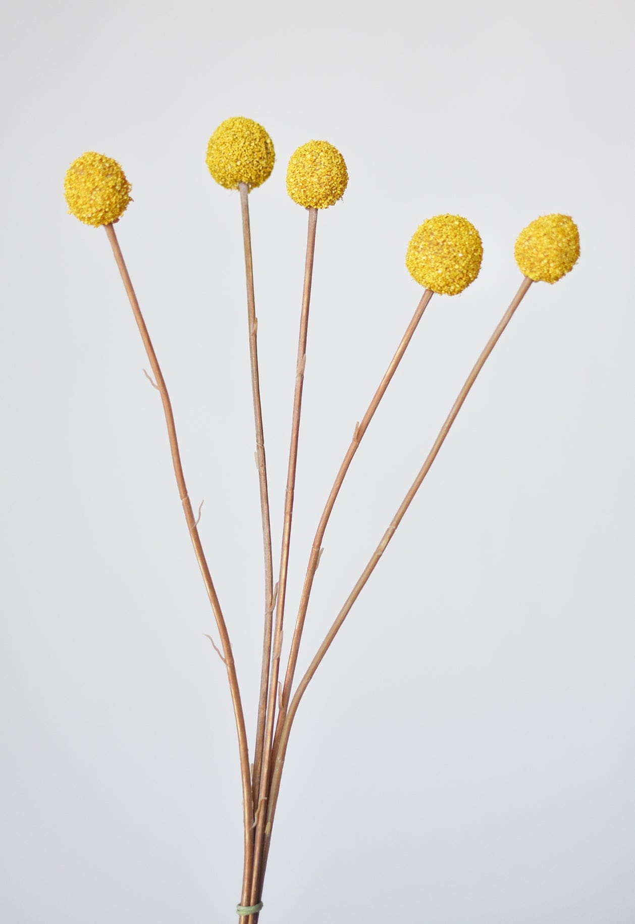 28&#x22; Faux Yellow Billy Ball Stem Bundle