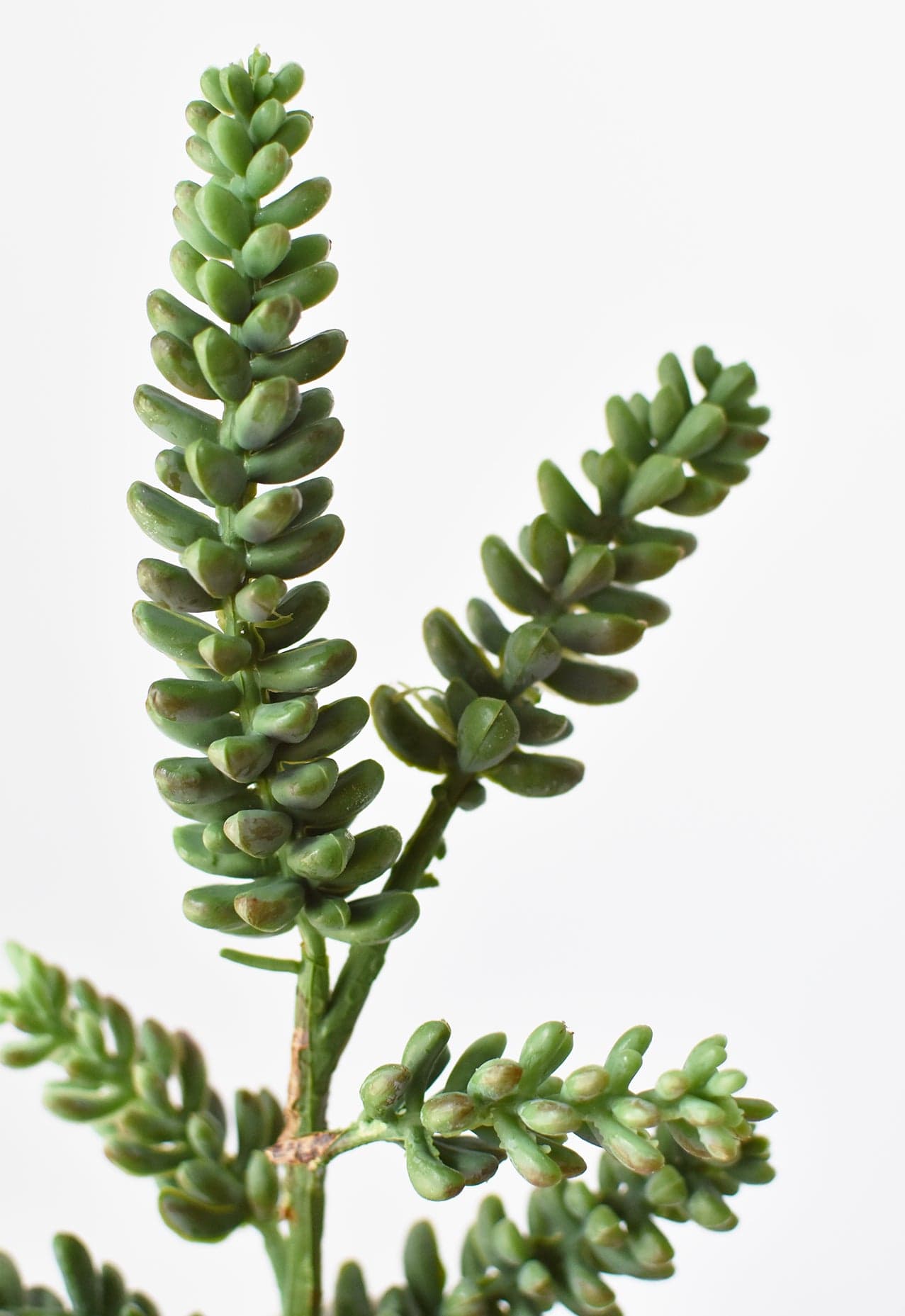 13&#x22; Faux Green Monkey Tail Stem