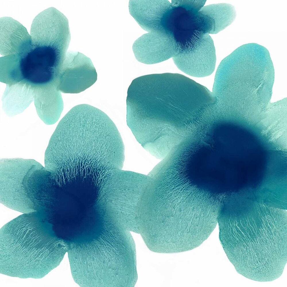 Aqua Blooms I Poster Print by Hannah Carlson # HC114197
