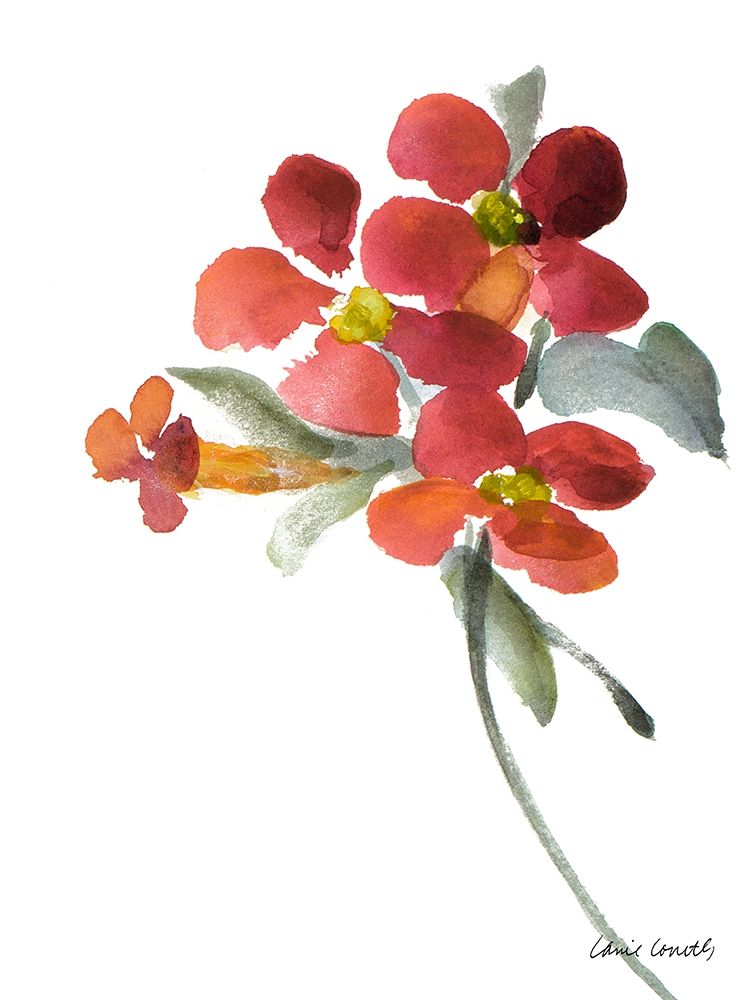 Trumpet Vine Poster Print by Lanie Loreth - Item # VARPDX12260