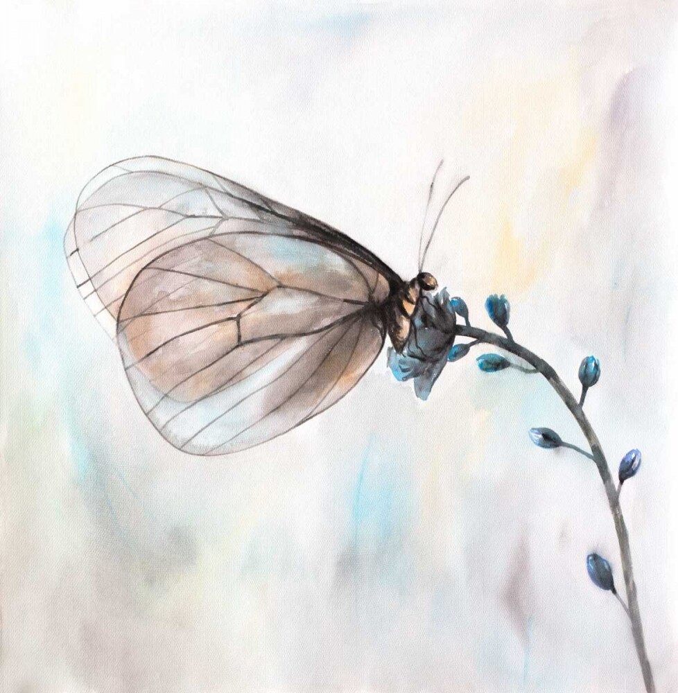 Aporia Crataegi Butterfly Poster Print by Atelier B Art Studio - Item # VARPDXBEGANI345
