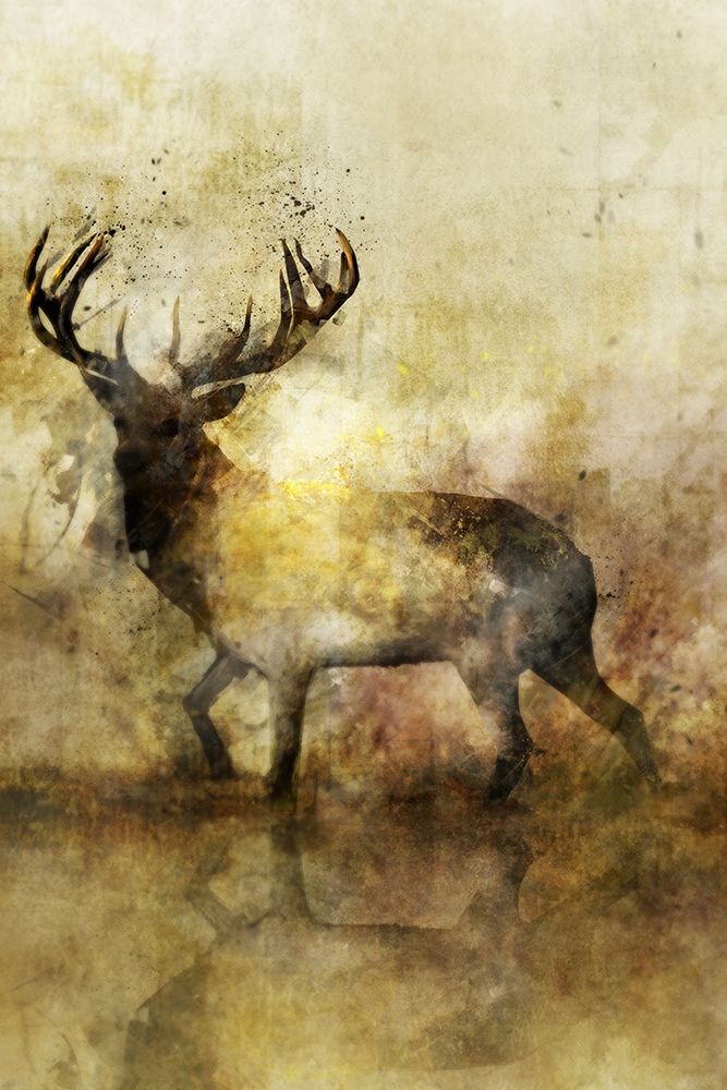 Calm Deer II Poster Print by Ken Roko # KX017A