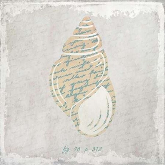 Stone Shell 4 Poster Print by Kimberly Allen - Item # VARPDXKASQ209D