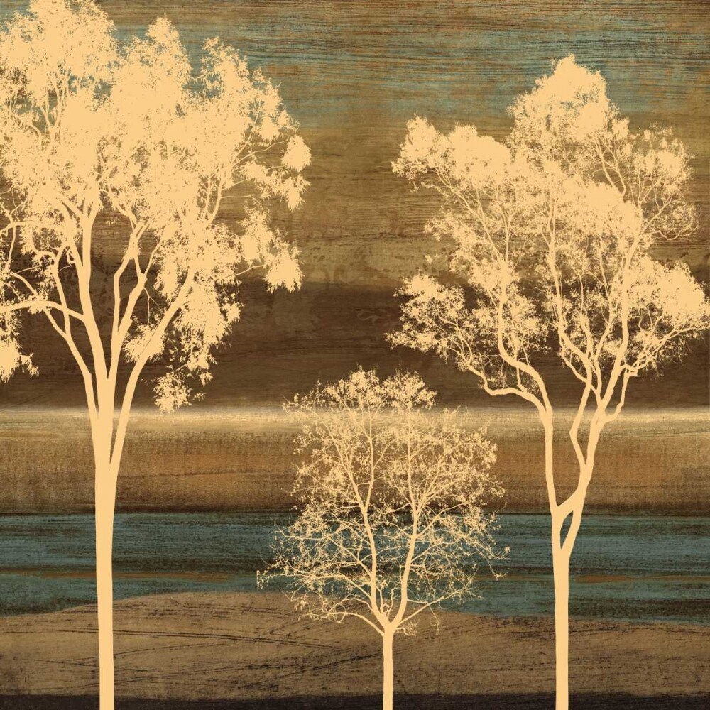 Ambiance II Poster Print by Chris Donovan # CSD6505