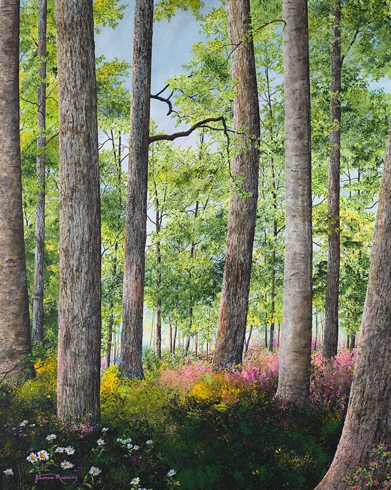 Enchanted Forest Poster Print by James Redding - Item # VARPDX12766HH
