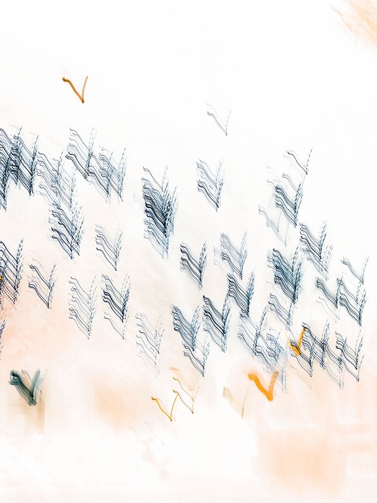 Brush Drag II Poster Print by Lily Mourier - Item # VARPDXLM059A