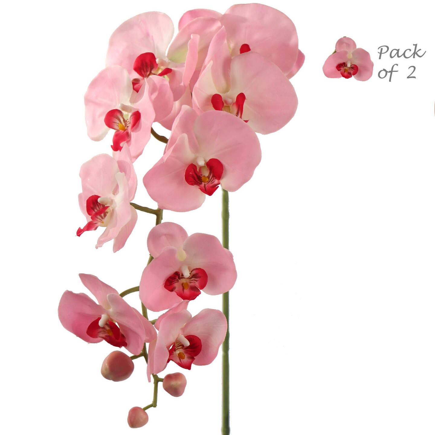 2-Pack 33.5-Inch Pink Phalaenopsis Orchid Stems with 9 Realistic Silk Blooms and Green Buds, Perfect for Elegant Home and Event Decor, Floral Home by Artificial Flowers