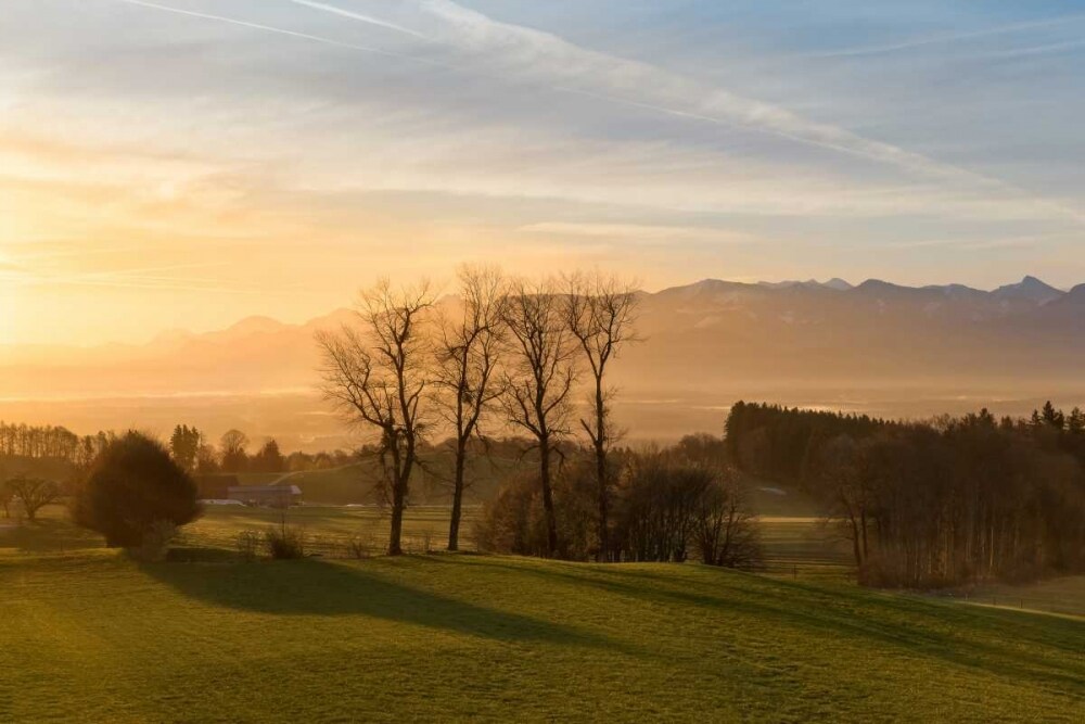 Soothing Light Poster Print by Anne Schneidersmann - Item # VARPDXS1568D