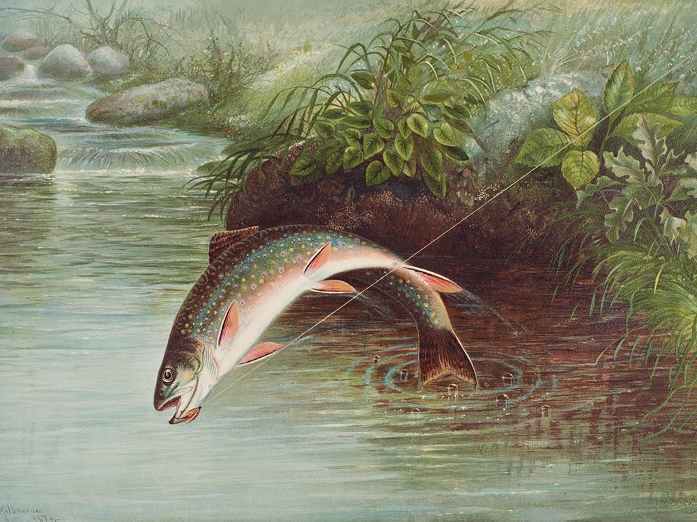 Leaping Brook Trout�_ Poster Print by Samuel Kilbourne # 54808