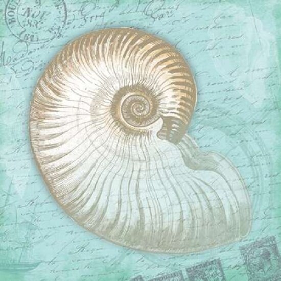 Nautical Shells Poster Print by Jace Grey - Item # VARPDXJGSQ365A