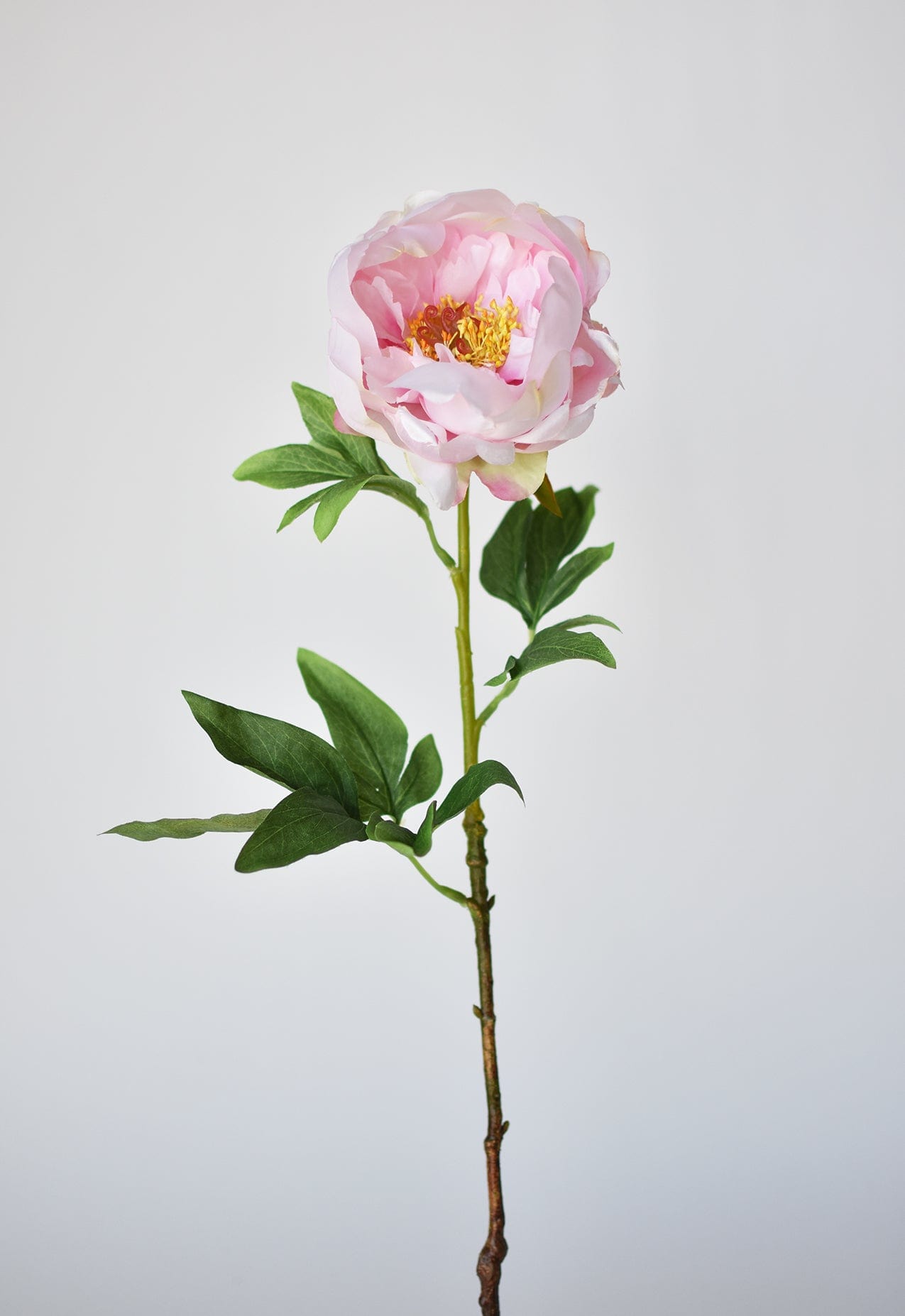 22&#x22; Faux Pink Peony Stem